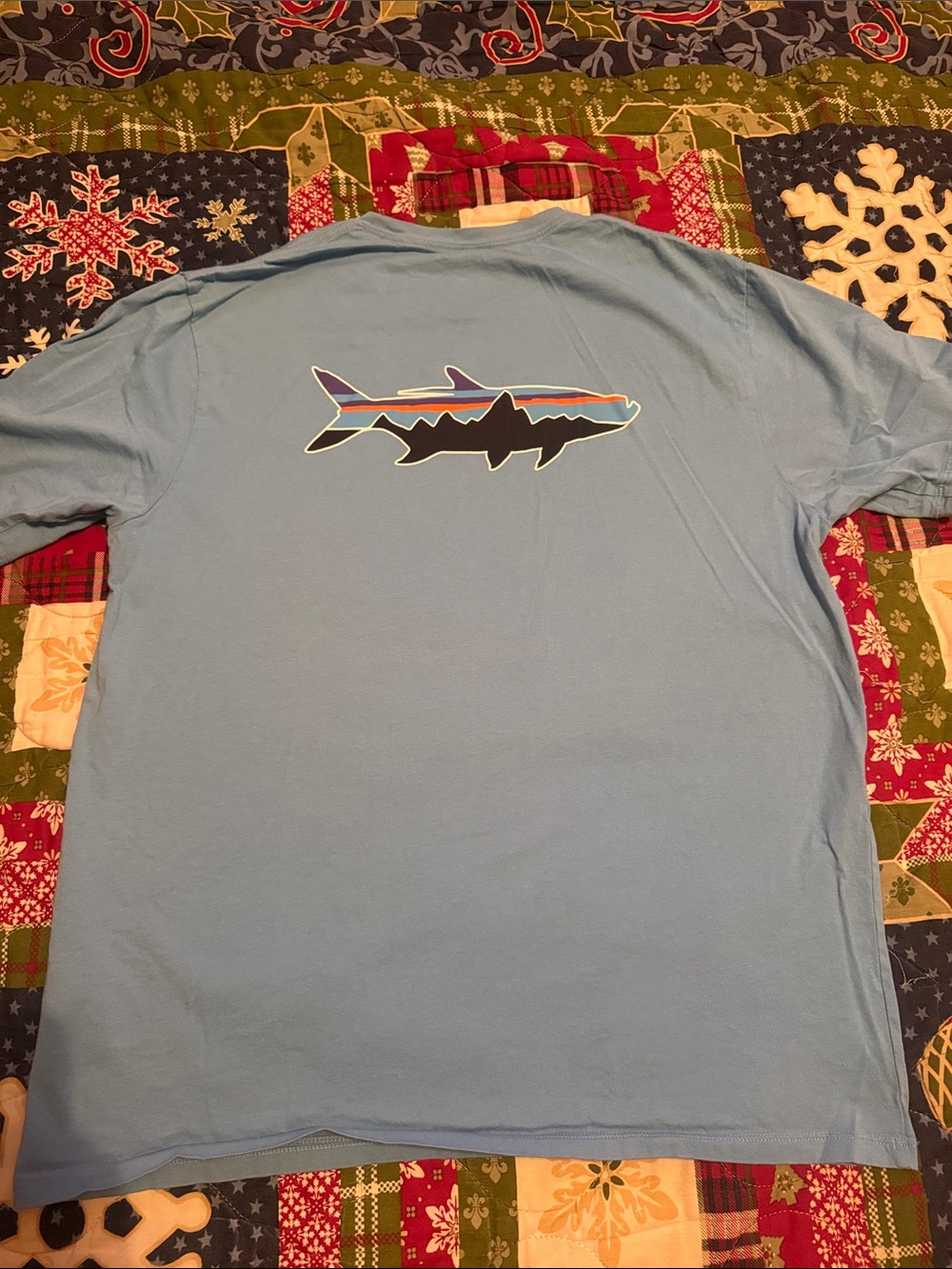 Patagonia Light Blue Organic Cotton Tee with Printed Interior Label